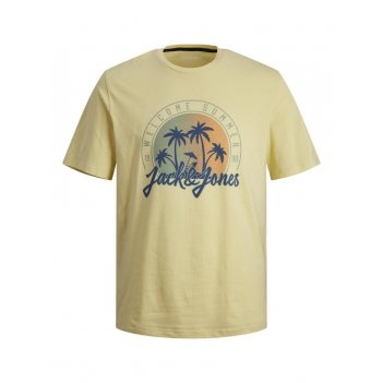 T-Shirt Uomo Summer Vibe JACK&JONES 12249266